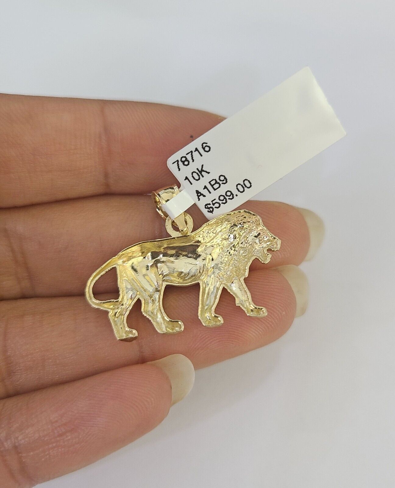10k 2.5mm Rope Chain Lion Pendant 18" - 30" Yellow Gold Set Charm Necklace - Reva Jeweler