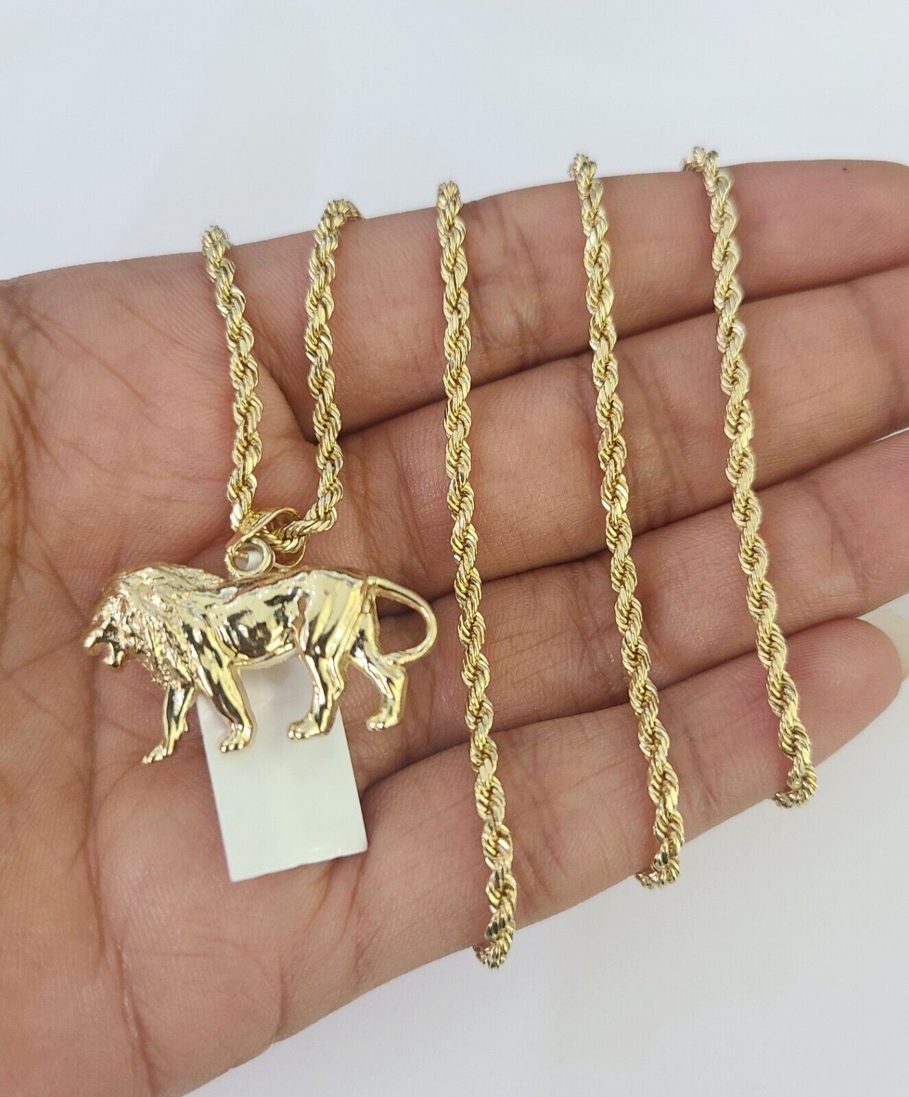 10k 2.5mm Rope Chain Lion Pendant 18" - 30" Yellow Gold Set Charm Necklace - Reva Jeweler