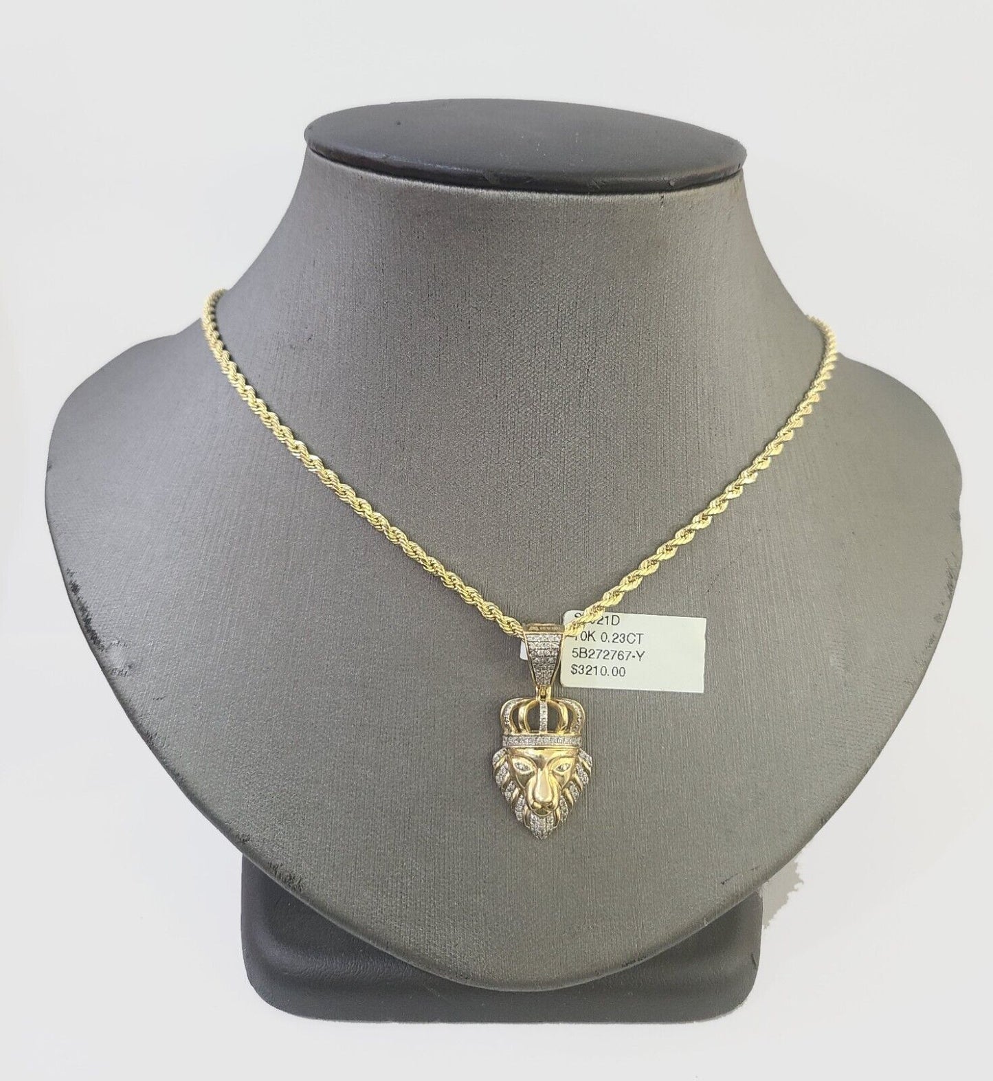 10k Gold Lion Head Diamond Charm and 2.5mm 18 Inches Rope Chain - Reva Jeweler
