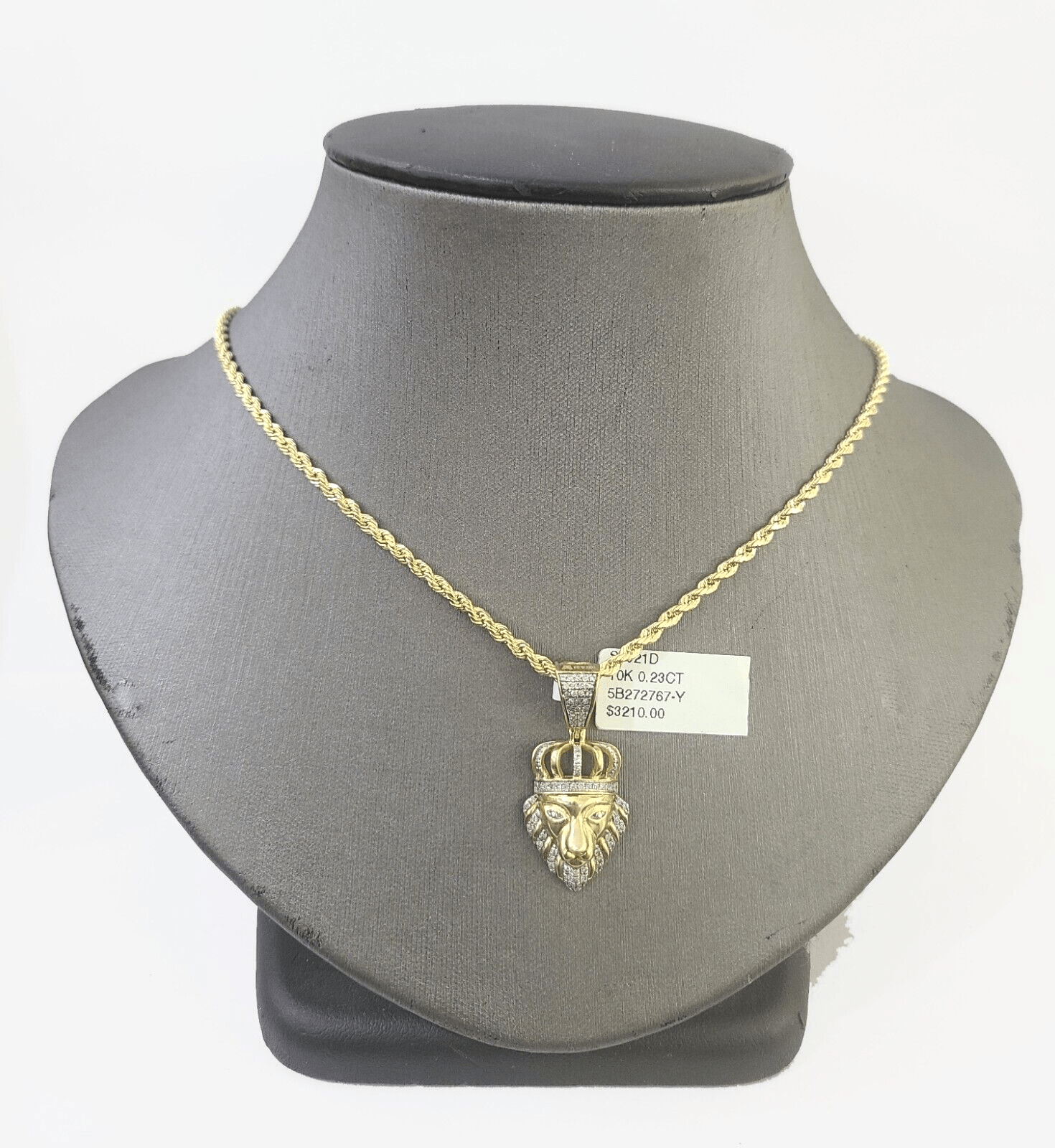10k Gold Lion Head Diamond Charm and 2.5mm 22 Inches Rope Chain - Reva Jeweler
