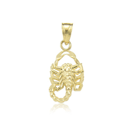 10k Yellow Gold Charm Africa Continent Pendant Mens REAL 10KT With FREE SHIPPING - Reva Jeweler