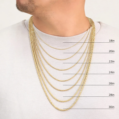 https://i.ebayimg.com/00/s/MTAyNFgxMDI0/z/VS0AAeSw7mhp1Amc/$_57.PNG?set_id=880000500F